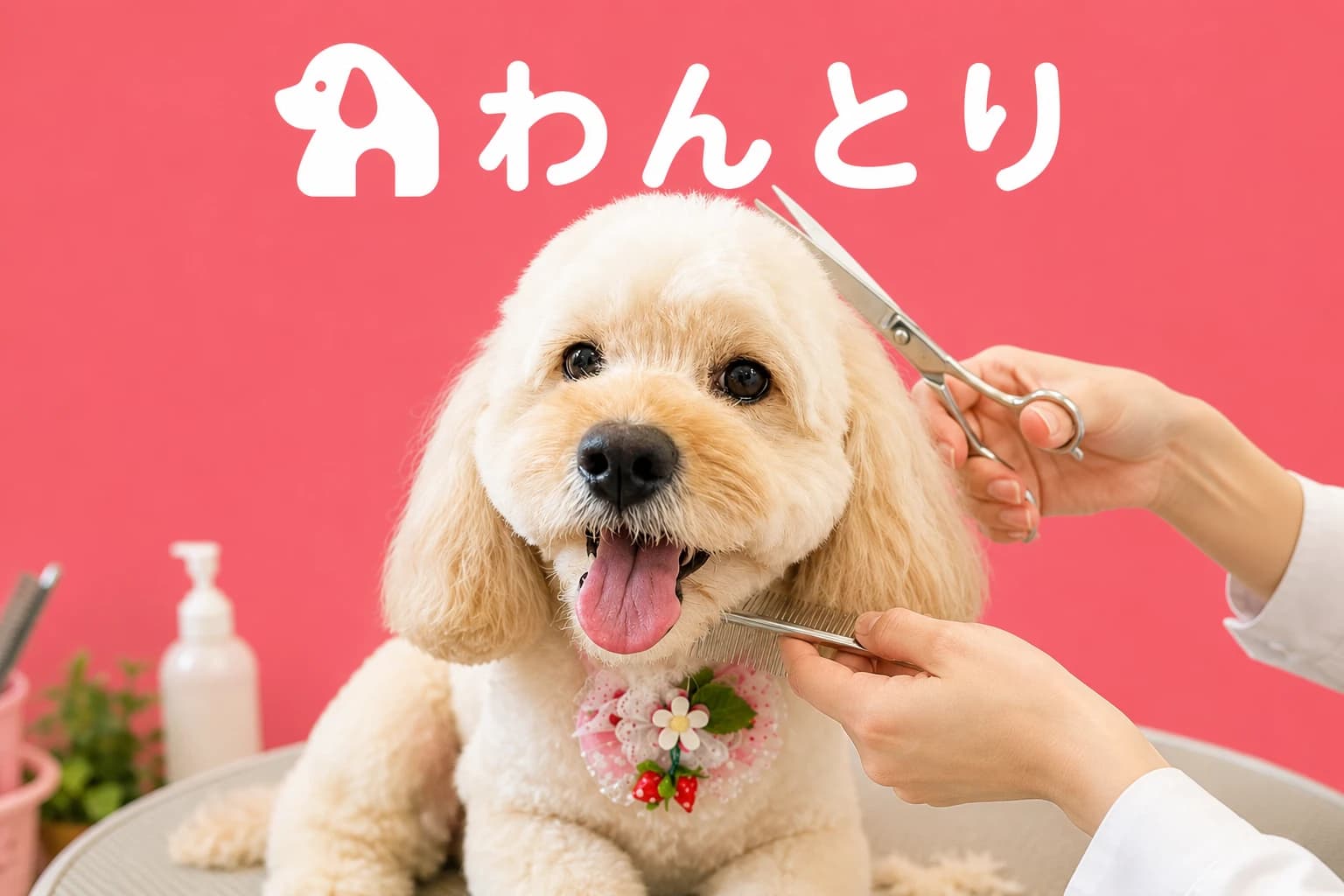 サロン写真 5