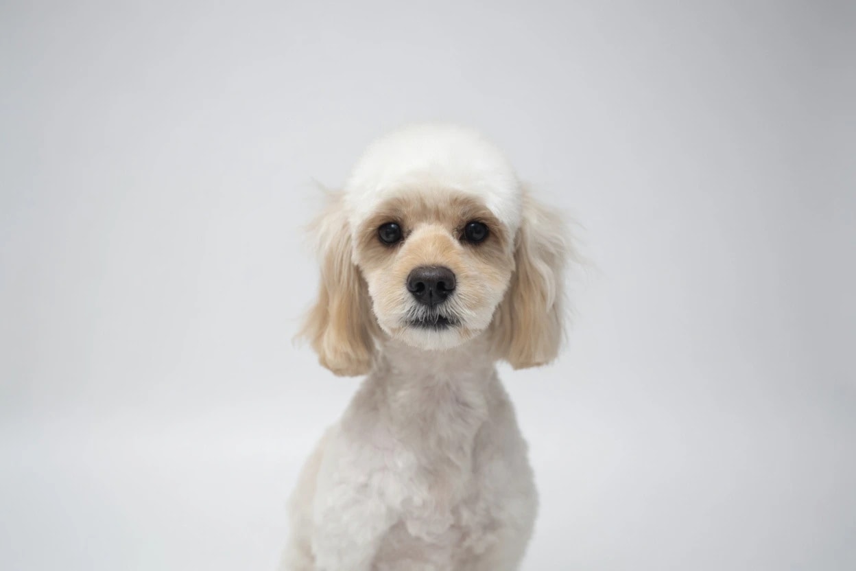 サロン写真 4